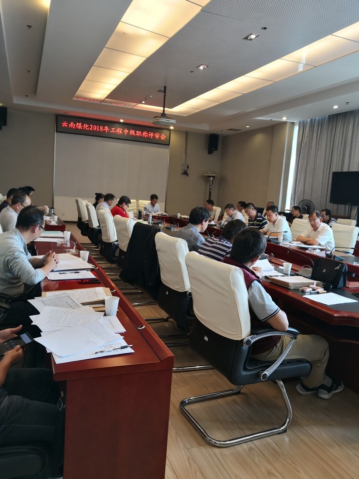 云南Ag亚洲集团集团中评委会召开