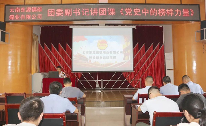 东源镇雄团委组织开展“请党定心 强国有我”主题团日活动