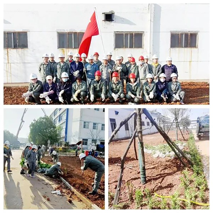 党员带动做先锋　团员青年齐上阵　曲煤焦化公司组织开展“植树添绿”自愿活动