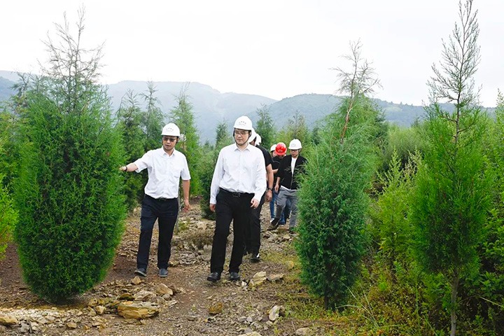 自然资源部矿产资源保唬唬；；；；ぜ嗍铀臼褂眉嗍哟Ω贝Τに镉莱恍械较确婷阂档餮新躺笊浇ㄉ枋虑