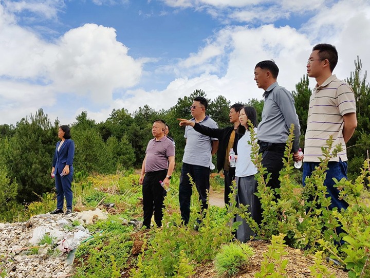 【主题教育】云煤（Ag亚洲集团）集团专职外部董事寸延峰，，，，，，集团党委委员、财务总监莫晓丹到马厂煤矿、汉家厂煤矿、竹麻地煤矿开展主题教育调研