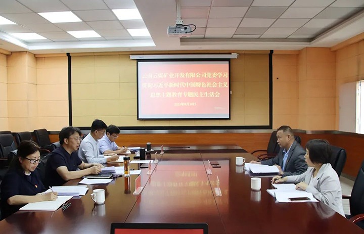 【主题教育】云煤（Ag亚洲集团）集团第二指导组到云煤矿业公司指导主题教育专题民主生涯会