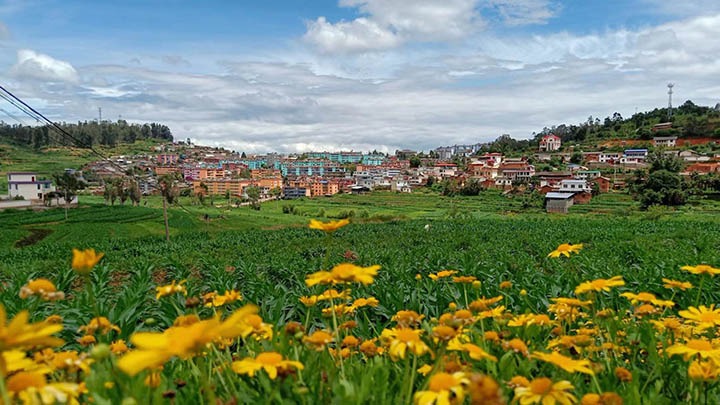 【云煤岁月】笃行不辍营生长，，，，，，，砥砺奋进谱新篇——平煤故事（一）